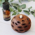 Aroma Pod Diffuser | Banksia | Mini